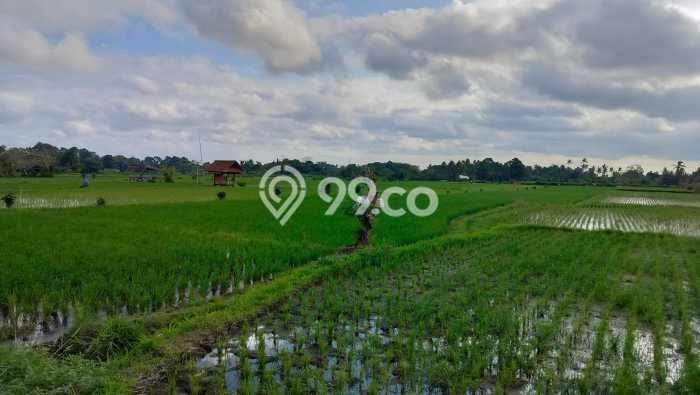 Tanah di Ubud, Gianyar Luas 450m2 Dijual Segera Tanah di Ubud, Gianyar Luas 450m2 Dijual Segera