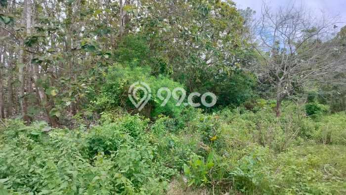 Tanah Dijual di Badung Seluas 1000m2 Strategis Tanah Dijual di Badung Seluas 1000m2 Strategis