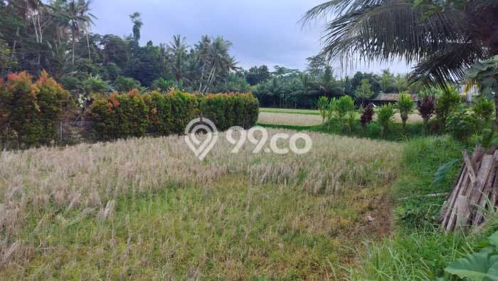 Kavling Tanah Dijual di Ubud Gianyar Spesifikasi 640m2 Kavling Tanah Dijual di Ubud Gianyar Spesifikasi 640m2