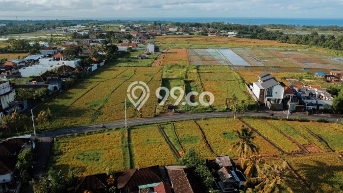 Tanah Dijual di Tabanan Seluas 700m2 Strategis Tanah Dijual di Tabanan Seluas 700m2 Strategis