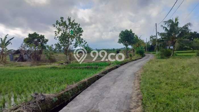 Tanah di Ubud, Gianyar Luas 450m2 Dijual Segera Tanah di Ubud, Gianyar Luas 450m2 Dijual Segera