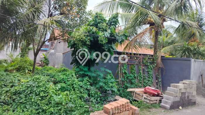Lahan Investasi Lokasi Ubud Gianyar SHM Lahan Investasi Lokasi Ubud Gianyar SHM