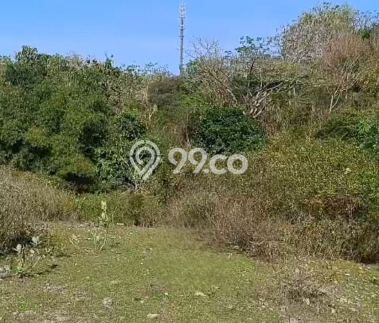Lahan Dijual Lokasi Strategis di Badung dengan Luas 250m2 Lahan Dijual Lokasi Strategis di Badung dengan Luas 250m2