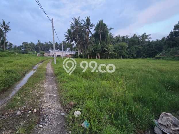 Tanah Dijual Lokasi Ubud, Gianyar dengan Luas Tanah 500m2 dan Status SHM Tanah Dijual Lokasi Ubud, Gianyar dengan Luas Tanah 500m2 dan Status SHM