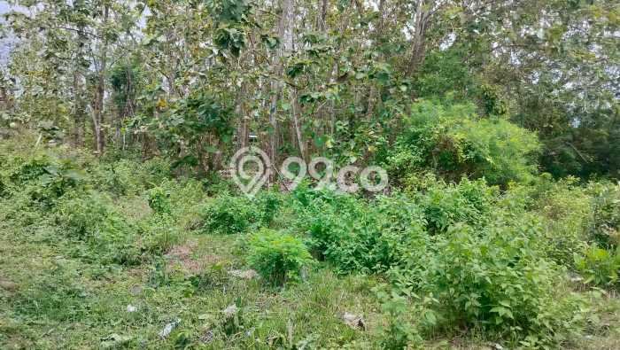 Tanah Dijual di Badung Seluas 1000m2 Strategis Tanah Dijual di Badung Seluas 1000m2 Strategis