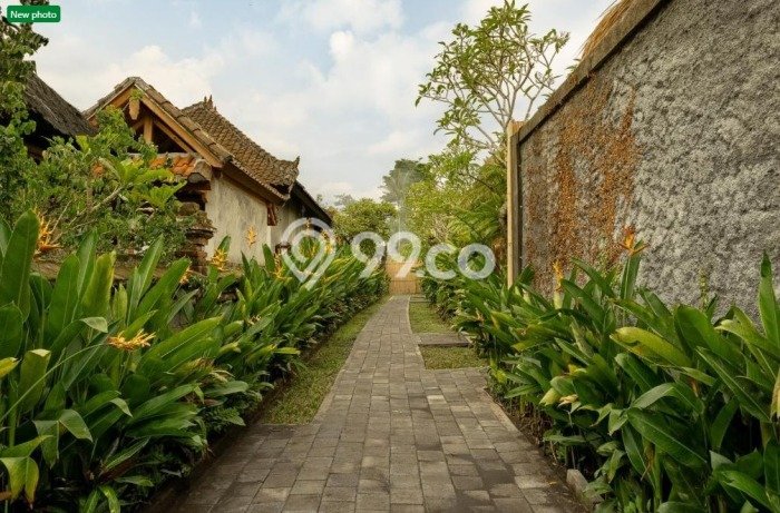 Dijual Rumah Elit Exclusive di Ubud, Gianyar Dijual Rumah Elit Exclusive di Ubud, Gianyar