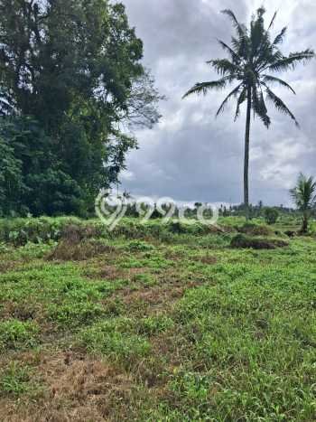 Tanah Komersial Dijual di Ubud Gianyar 3000m2 Tanah Komersial Dijual di Ubud Gianyar 3000m2
