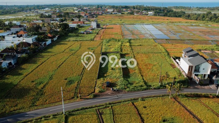 Tanah Dijual di Tabanan Seluas 700m2 Strategis Tanah Dijual di Tabanan Seluas 700m2 Strategis