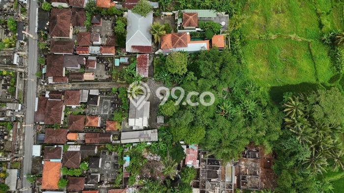 Tanah di Ubud, Gianyar Luas 1000m2 Dijual Segera Tanah di Ubud, Gianyar Luas 1000m2 Dijual Segera