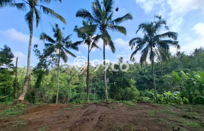 Lahan Investasi Lokasi Ubud Gianyar SHM Lahan Investasi Lokasi Ubud Gianyar SHM