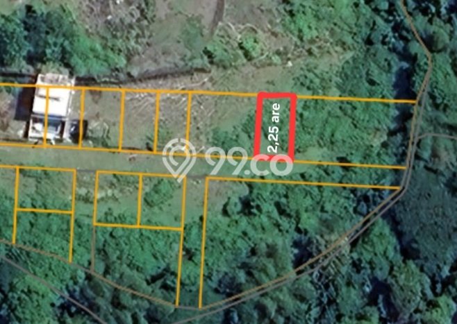 Lahan Dijual Lokasi Strategis di Badung dengan Luas 250m2 Lahan Dijual Lokasi Strategis di Badung dengan Luas 250m2
