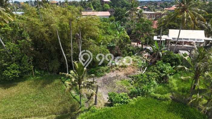 Tanah Dijual Lokasi Ubud Gianyar SHM Tanah Dijual Lokasi Ubud Gianyar SHM