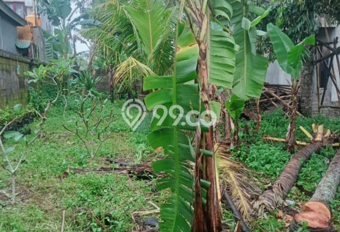 Kavling Tanah Dijual di Ubud Gianyar Spesifikasi 500m2 Kavling Tanah Dijual di Ubud Gianyar Spesifikasi 500m2