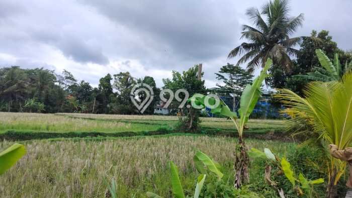 Untuk Dijual Tanah di Ubud Gianyar Luas 400m2 SHM Untuk Dijual Tanah di Ubud Gianyar Luas 400m2 SHM