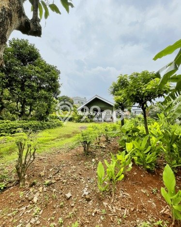 Tanah Dijual di Tangerang Seluas 2900m2 Strategis Tanah Dijual di Tangerang Seluas 2900m2 Strategis