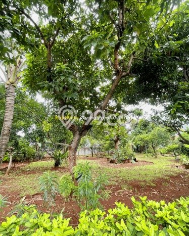 Tanah Dijual di Tangerang Seluas 2900m2 Strategis Tanah Dijual di Tangerang Seluas 2900m2 Strategis
