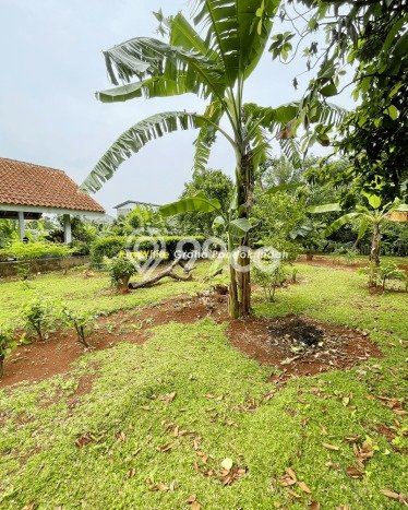 Tanah Dijual di Tangerang Seluas 2900m2 Strategis Tanah Dijual di Tangerang Seluas 2900m2 Strategis