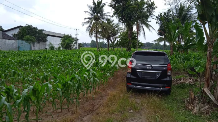 Tanah Kavling di Terbanggi Besar Dijual dengan Luas 8300m2 Tanah Kavling di Terbanggi Besar Dijual dengan Luas 8300m2