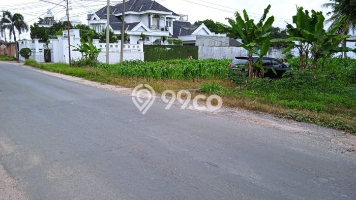 Tanah Kavling di Terbanggi Besar Dijual dengan Luas 8300m2 Tanah Kavling di Terbanggi Besar Dijual dengan Luas 8300m2