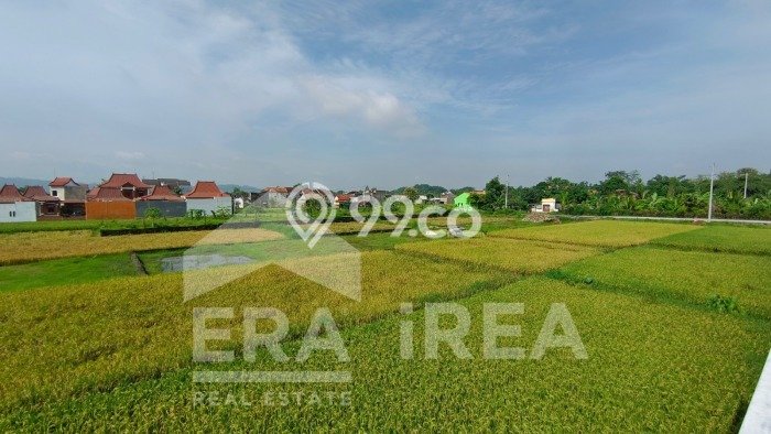 Dijual Cepat Rumah Bagus Siap Huni LB 52m2 di Prambanan, Klaten Dijual Cepat Rumah Bagus Siap Huni LB 52m2 di Prambanan, Klaten