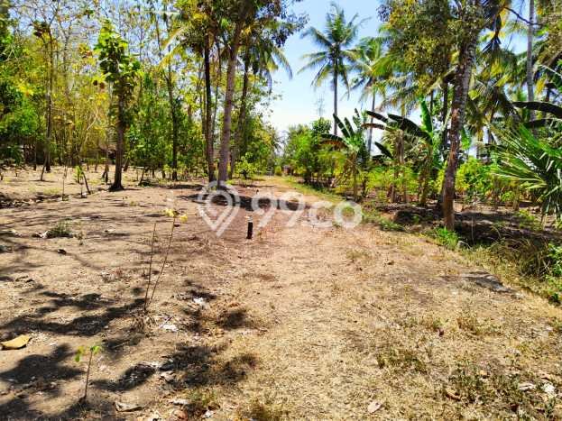 Kavling Tanah di Pengasih Dijual Luas 311m2 Legalitas SHM Kavling Tanah di Pengasih Dijual Luas 311m2 Legalitas SHM