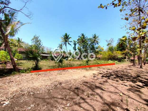 Kavling Tanah di Pengasih Dijual Luas 311m2 Legalitas SHM Kavling Tanah di Pengasih Dijual Luas 311m2 Legalitas SHM