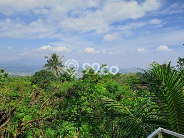 Untuk Dijual! Komersial di Sentul Bogor LT 5466m2 / LB 500m2 Kawasan Strategis Untuk Dijual! Komersial di Sentul Bogor LT 5466m2 / LB 500m2 Kawasan Strategis