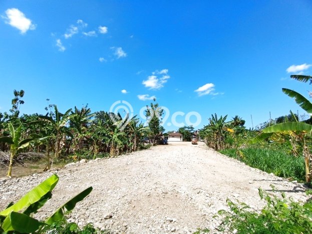 Lahan Kosong Dijual di Bantul, Bantul, Luas 202m2 Area Strategis Lahan Kosong Dijual di Bantul, Bantul, Luas 202m2 Area Strategis