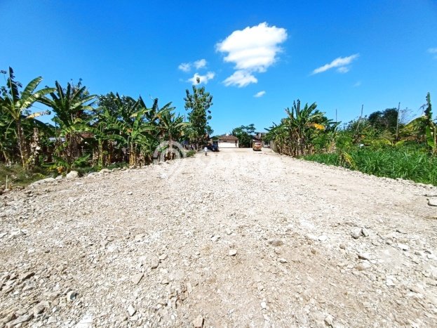 Lahan Kosong Dijual di Bantul, Bantul, Luas 202m2 Area Strategis Lahan Kosong Dijual di Bantul, Bantul, Luas 202m2 Area Strategis