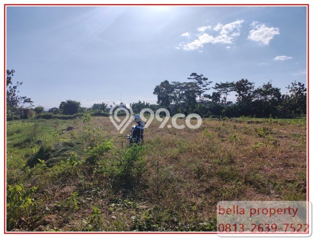 Lahan Kosong Dijual di Pakualaman, Yogyakarta, Luas 153m2 Area Strategis Lahan Kosong Dijual di Pakualaman, Yogyakarta, Luas 153m2 Area Strategis