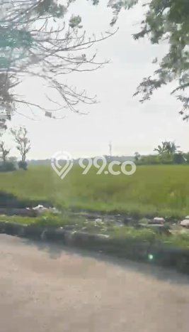Tanah Dijual Lokasi Rengasdengklok, Karawang dengan Luas Tanah 6890m2 dan Status SHM Tanah Dijual Lokasi Rengasdengklok, Karawang dengan Luas Tanah 6890m2 dan Status SHM