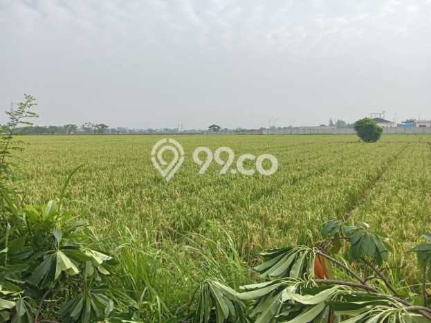 Tanah Dijual Lokasi Rengasdengklok, Karawang dengan Luas Tanah 6890m2 dan Status SHM Tanah Dijual Lokasi Rengasdengklok, Karawang dengan Luas Tanah 6890m2 dan Status SHM
