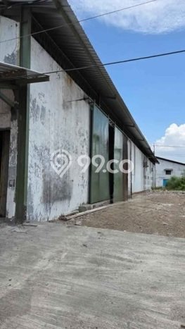 Unit Gudang Dijual di Sidoarjo Sidoarjo Luas Bangunan 552m2 Unit Gudang Dijual di Sidoarjo Sidoarjo Luas Bangunan 552m2