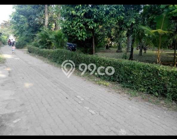 Kavling Tanah di Serpong Utara Dijual Luas 3000m2 Legalitas - Kavling Tanah di Serpong Utara Dijual Luas 3000m2 Legalitas -