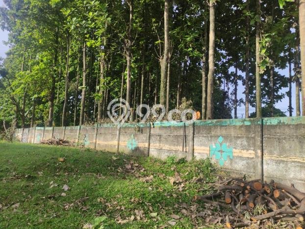 Tanah Kosong Dijual di Bogor dengan Area 3290m2 Tanah Kosong Dijual di Bogor dengan Area 3290m2