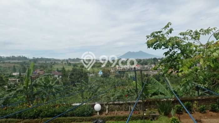 Dijual Tanah di Bogor, Luas 12000m2 SHM Dijual Tanah di Bogor, Luas 12000m2 SHM
