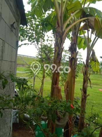 Tanah Dijual Lokasi Cibitung, Bekasi Luas 60m2 Legalitas Aman Tanah Dijual Lokasi Cibitung, Bekasi Luas 60m2 Legalitas Aman