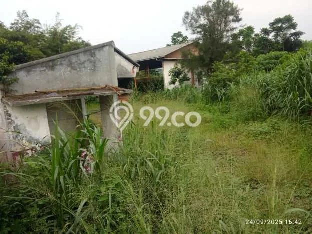 Kavling Tanah di Pamulang Dijual Luas 1950m2 Legalitas SHM Kavling Tanah di Pamulang Dijual Luas 1950m2 Legalitas SHM
