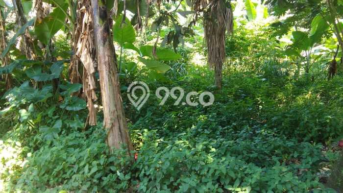 Tanah Kavling untuk Dijual di Pamulang Tangerang Selatan 192m2 Tanah Kavling untuk Dijual di Pamulang Tangerang Selatan 192m2