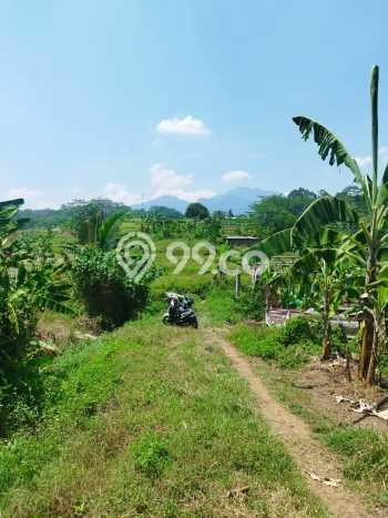 Tanah untuk Dijual Lokasi Mijen, Semarang Luas 13000m2 SHM Tanah untuk Dijual Lokasi Mijen, Semarang Luas 13000m2 SHM