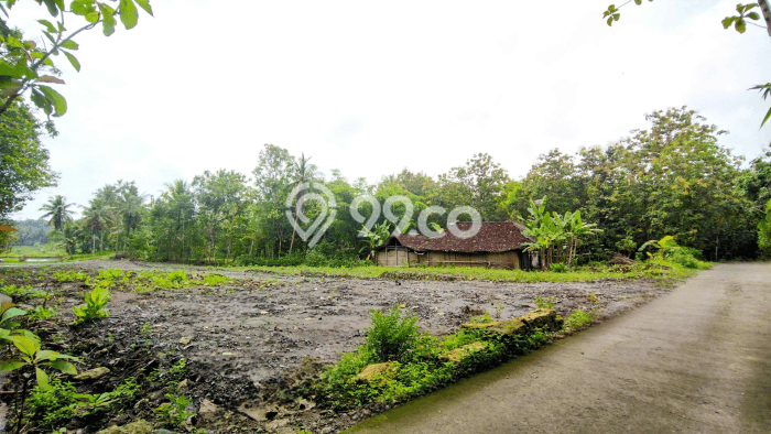 Untuk Dijual Tanah di Sentolo Kulon Progo Luas 110m2 SHM Untuk Dijual Tanah di Sentolo Kulon Progo Luas 110m2 SHM