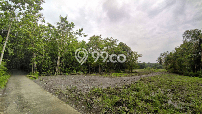 Untuk Dijual Tanah di Sentolo Kulon Progo Luas 110m2 SHM Untuk Dijual Tanah di Sentolo Kulon Progo Luas 110m2 SHM