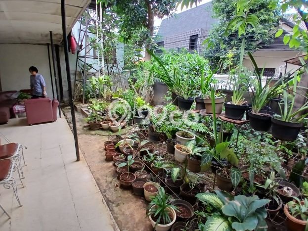 Siap Huni Rumah Mewah 4 Kamar di Kebayoran Baru Dekat ke Mana Pun Siap Huni Rumah Mewah 4 Kamar di Kebayoran Baru Dekat ke Mana Pun