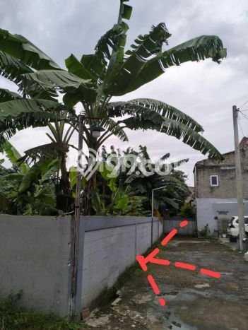 Lahan Kosong Dijual di Pancoran Mas, Depok, Luas 500m2 Area Strategis Lahan Kosong Dijual di Pancoran Mas, Depok, Luas 500m2 Area Strategis