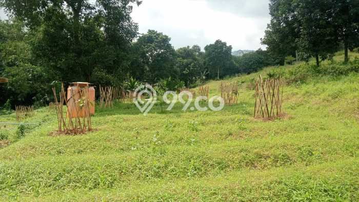 Tanah Kavling Dijual di Bogor dengan Spesifikasi 10004m2 Tanah Kavling Dijual di Bogor dengan Spesifikasi 10004m2