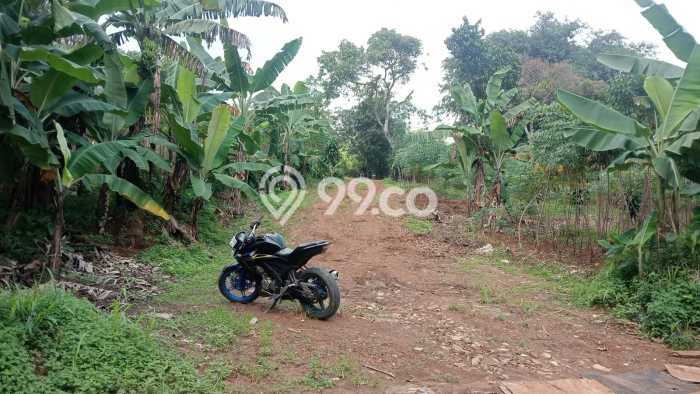 Tanah Kavling Dijual di Bogor dengan Spesifikasi 10004m2 Tanah Kavling Dijual di Bogor dengan Spesifikasi 10004m2