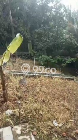Tanah Kavling Dijual di Sentul, Bogor dengan Luas Tanah 1500m2 Tanah Kavling Dijual di Sentul, Bogor dengan Luas Tanah 1500m2