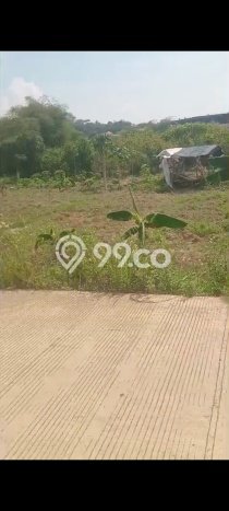 Tanah untuk Dijual Lokasi Citeureup, Bogor Luas 10000m2 - Tanah untuk Dijual Lokasi Citeureup, Bogor Luas 10000m2 -