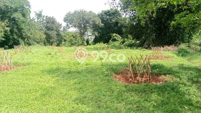 Tanah Kavling Dijual di Bogor dengan Spesifikasi 10004m2 Tanah Kavling Dijual di Bogor dengan Spesifikasi 10004m2