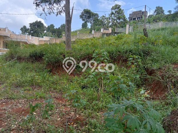 Dijual Tanah di Bogor, Luas 3000m2 SHM Dijual Tanah di Bogor, Luas 3000m2 SHM